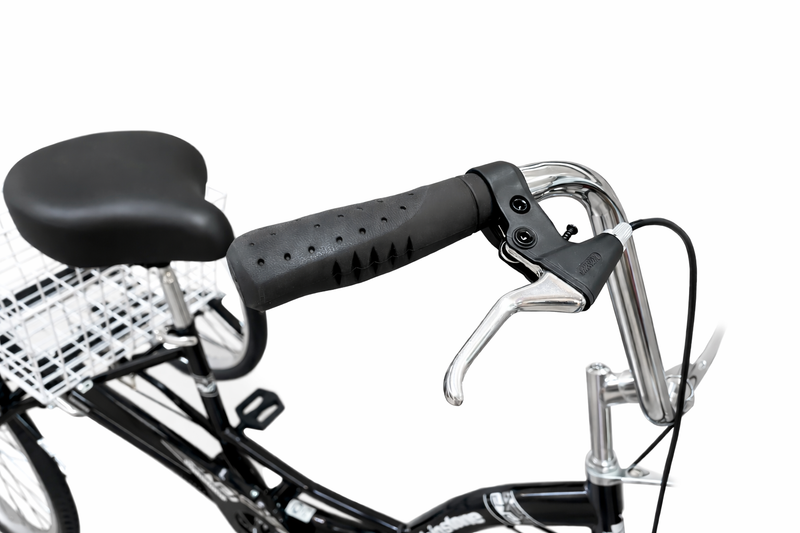 Load image into Gallery viewer, 24 TRICYCLE