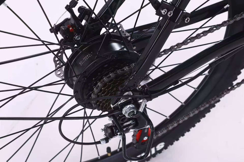 Load image into Gallery viewer, EBIKE 26 LIMIT DELIVERY TYPE