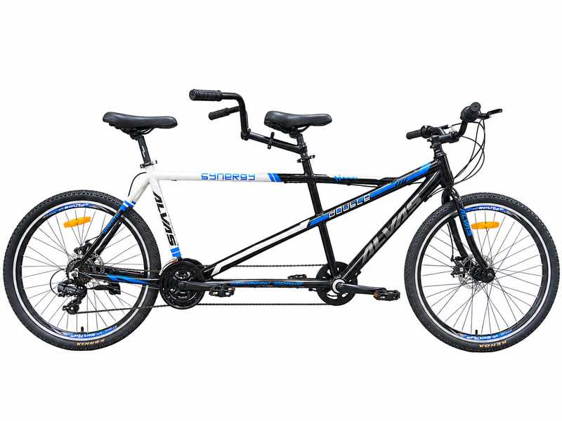 Load image into Gallery viewer, 26" TADEM BIKE ALVAS
