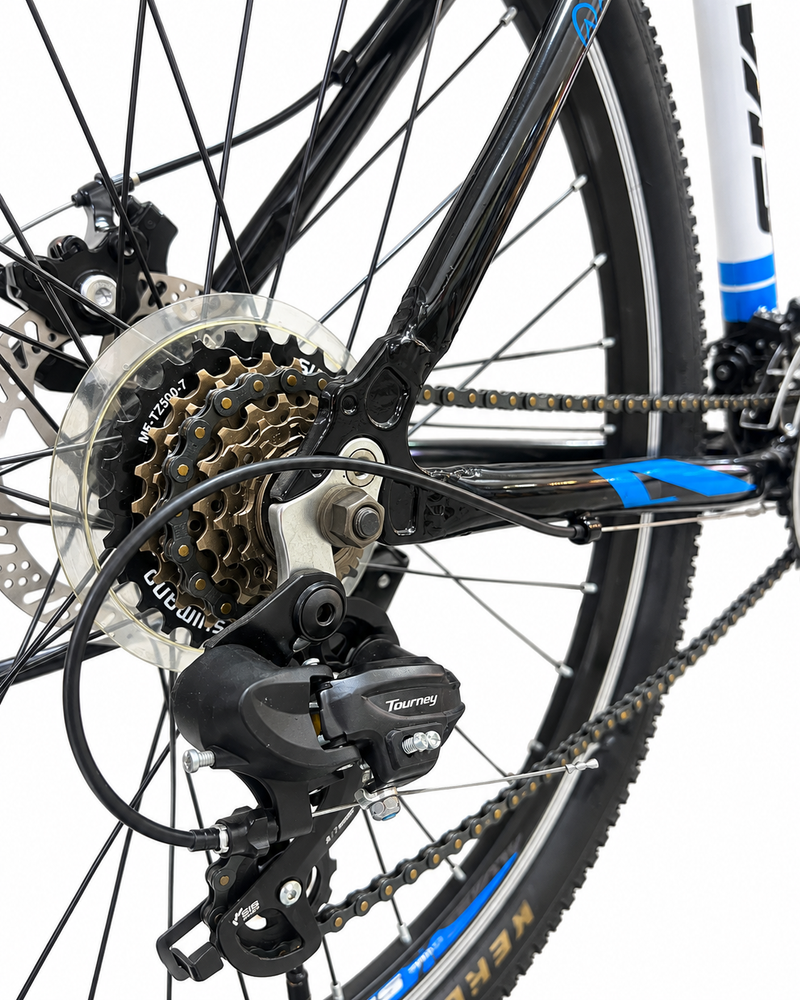 Load image into Gallery viewer, 26" TADEM BIKE ALVAS
