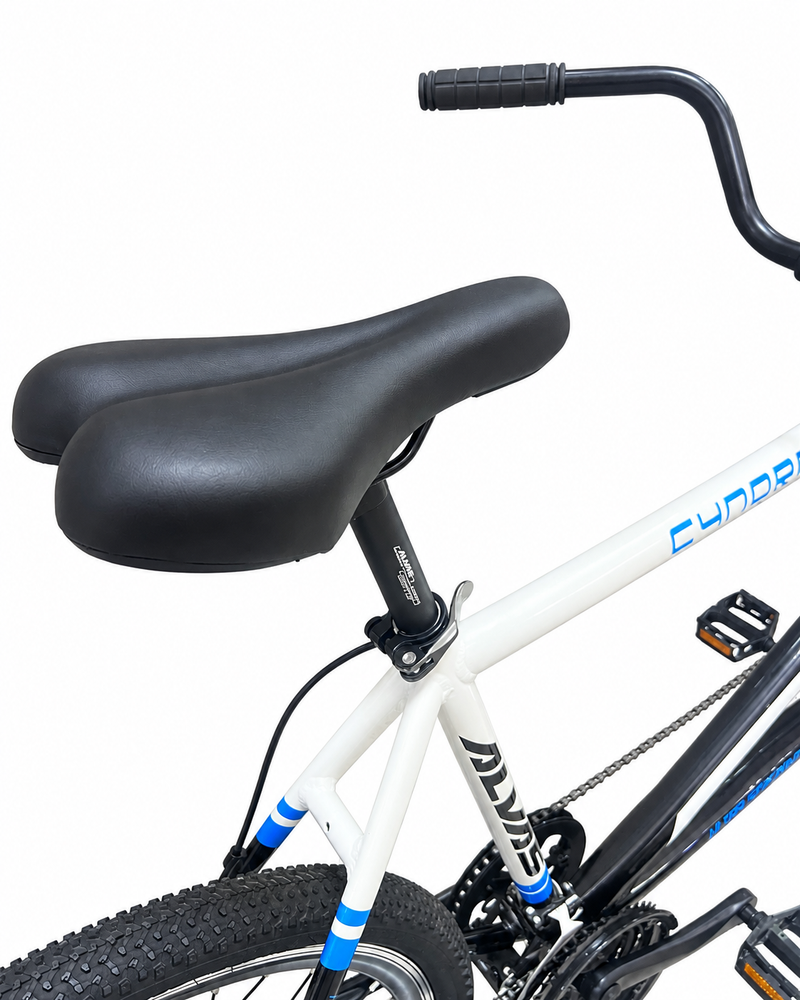Load image into Gallery viewer, 26" TADEM BIKE ALVAS
