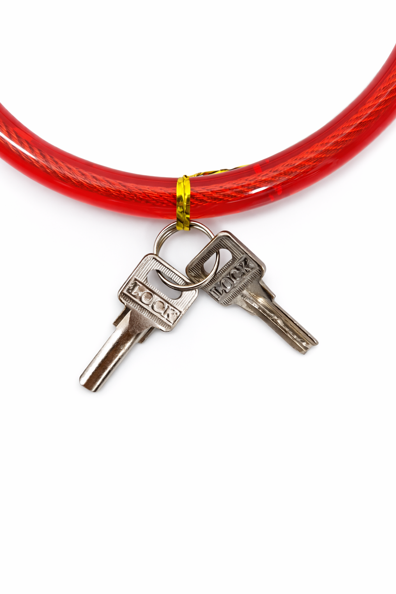 Load image into Gallery viewer, METAL HEAD LOCK
